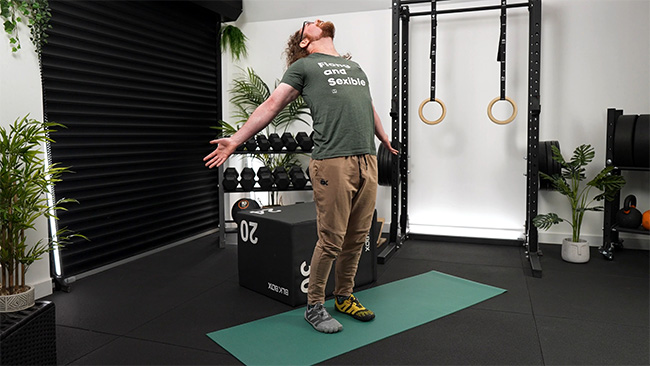 Tom Morrison - Lower Back Pain Flare Up Protocol movement restoration