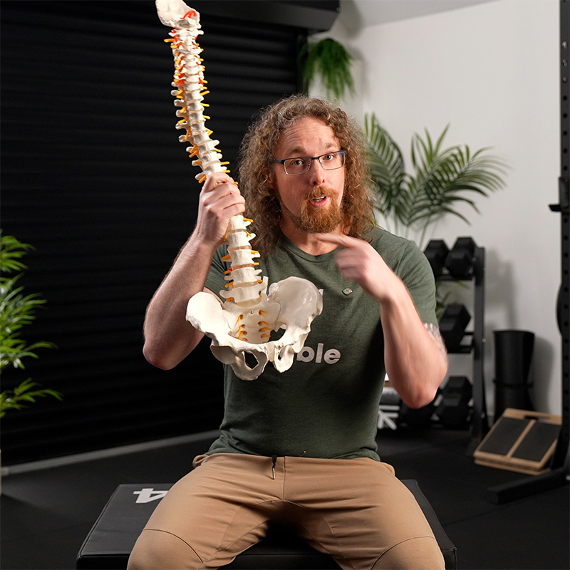 Tom Morrison - Lower Back Pain Flare Up Protocol image 6