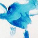 Kylie Marshall, Simplistic mobility method (SMM) review