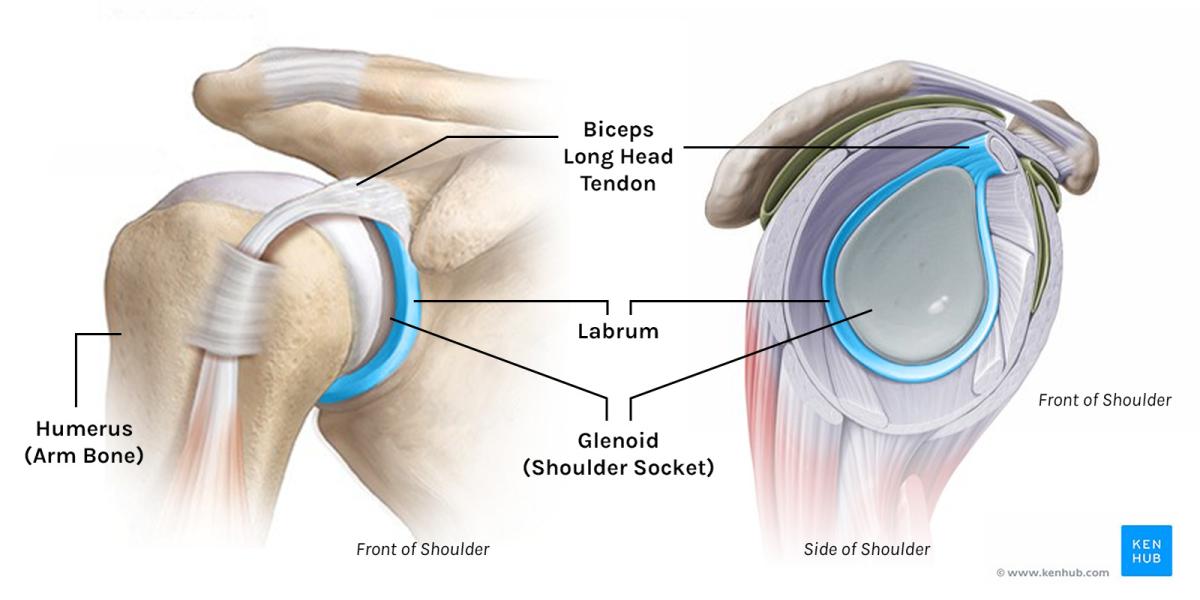 What is a Labrum Tear? - Tom Morrison