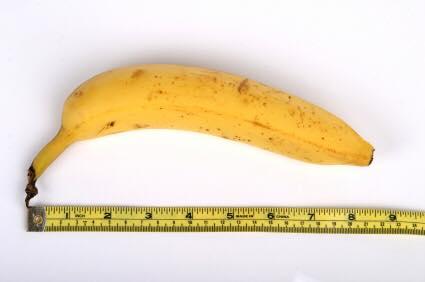 When to stop measuring your penis - Tom Morrison