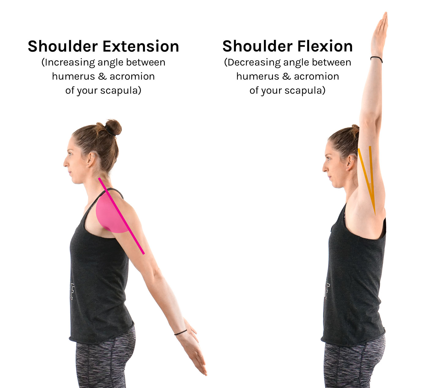 back extension vs flexion