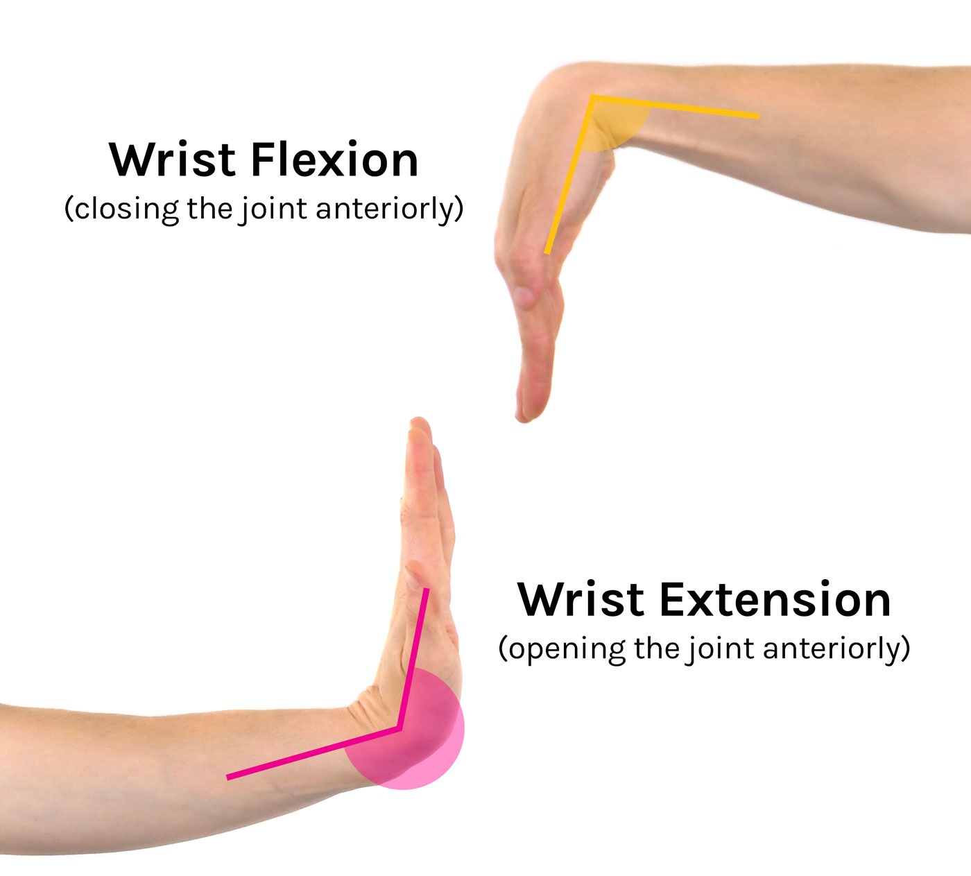 Degrees Of Flexion And Extension In The Knee At Maggie Riley Blog