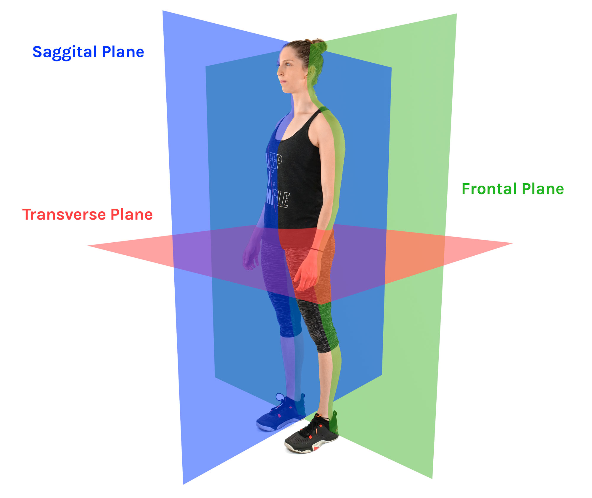 midsagittal plane