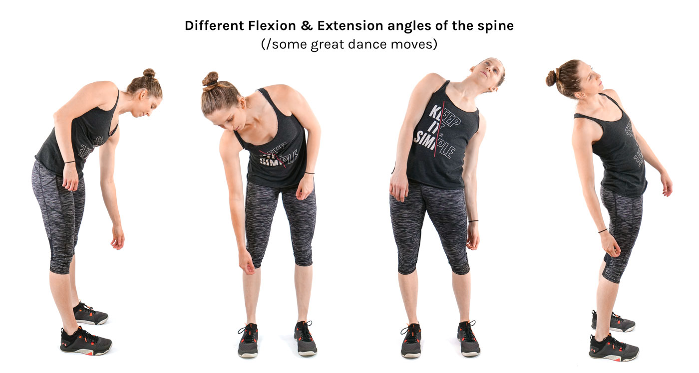 flexion and extension of arm